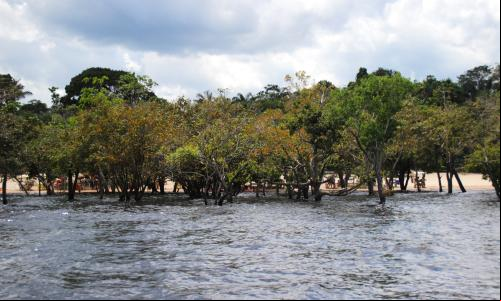Foto de Manaus