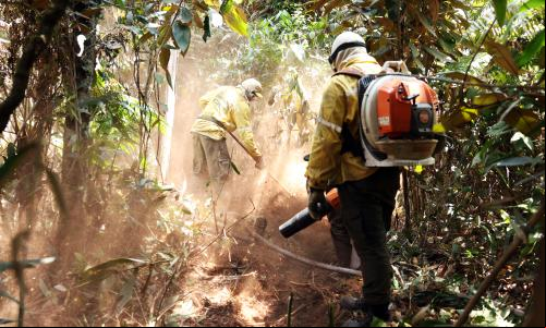 Brigada controla incêndio no DF
