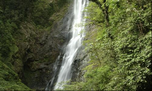 Mata Atlântica. Cachoeira na reserva Salto Morato (Foto: Haroldo Palo Jr.)
