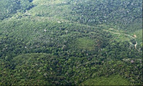 A Amazônia vista de cima, no Pará (Foto: Nick Elmoor)