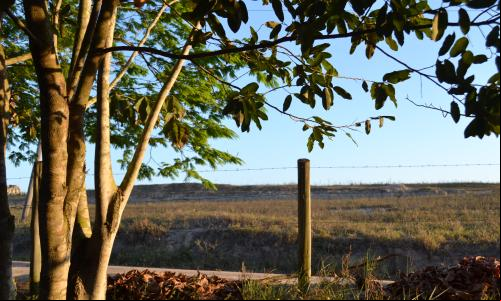 Cerca separa floresta secundária de área de pasto em propriedade no norte do Espírito Santo (Foto: Bruno Calixto/WRIBrasil)