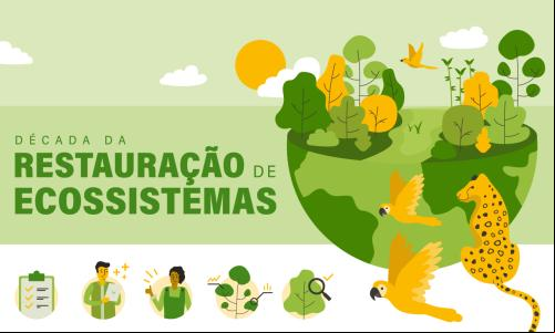 Ilustração sobre a Década da Restauração