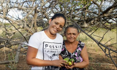 Denise Cardoso (E), presidenta da Coopercuc, com a produtora Maria Perpétua Barbosa, de Uauá