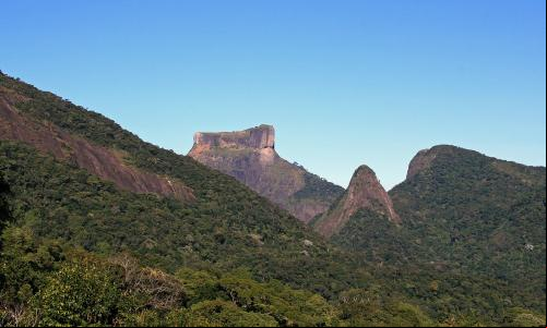 Floresta Nacional da Tijuca