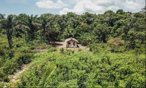 Potencial da floresta em pé é um trunfo para a economia brasileira e as comunidades locais (foto: Preta Terra)
