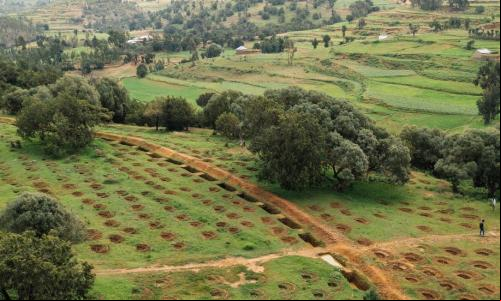 Terras agrícolas e florestas lado a lado em Tigray, na Etiópia