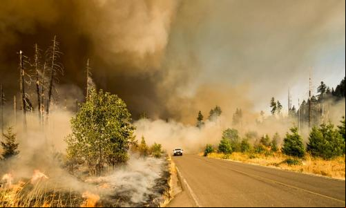 Incêndio florestal IPCC adaptação clima extremo