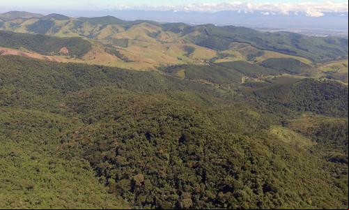 Vista aérea de paisagem com cobertura vegetal na porção paulista do Vale do Paraíba (Foto: Paulo Thiago/Bellair Vídeos)