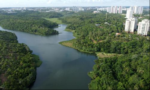 imagem aérea de parque, corpo d'água e cidade