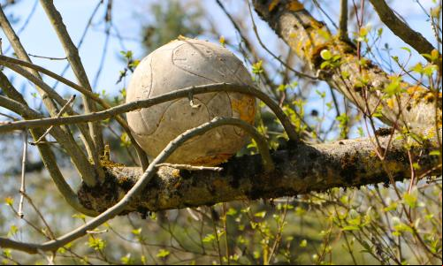 Os adversários do Brasil na Copa do Mundo têm muito a ensinar sobre restauração (Foto: CC0 Public Domain)