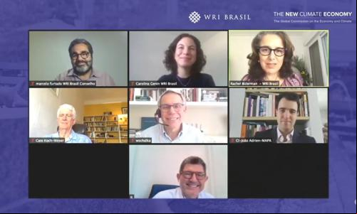 imagem da tela com participantes do webinar