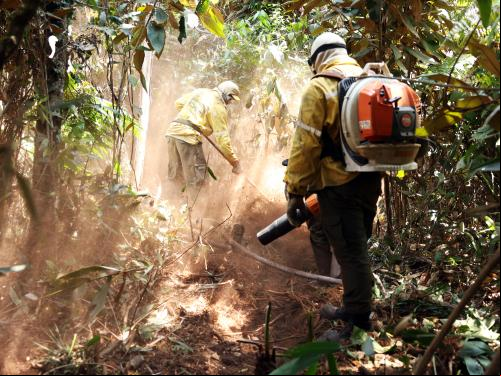 Brigada controla incêndio no DF