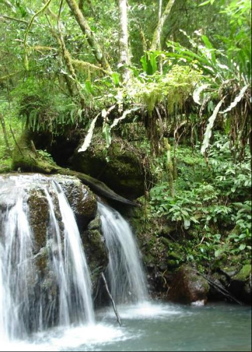 Waterfall